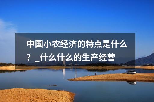 中国小农经济的特点是什么？_什么什么的生产经营-第1张-会计-希子网